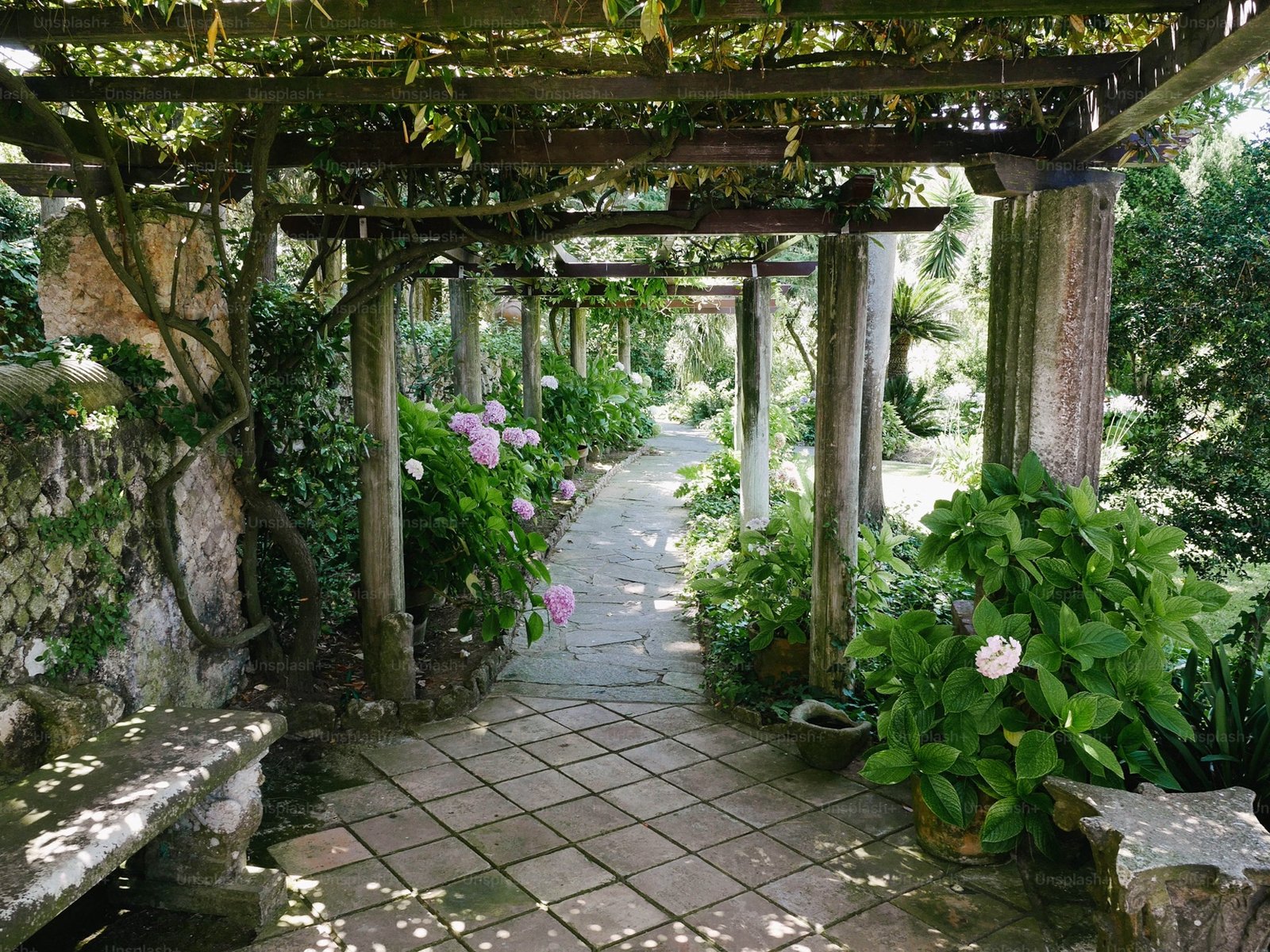 Atlanta yard in spring
