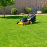 A backyard in Gilbert, AZ featuring a healthy Bermuda grass lawn, a lawn mower, and a desert-style landscape with drought-tolerant plants and gravel.