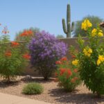 A sunny Gilbert, AZ yard with colorful flowering shrubs including yellow Tecoma, red Fairy Duster, purple Texas Sage, and orange Bird of Paradise, set against a stucco wall and saguaro cactus.