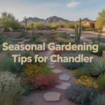 Colorful desert plants thriving in a Chandler garden with text overlay of seasonal gardening tips