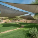 Desert grasses thriving under shade sails in a Southeast Valley backyard