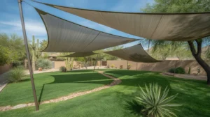 Desert grasses thriving under shade sails in a Southeast Valley backyard