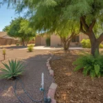 Shaded and sunny areas of a Gilbert yard with drip irrigation and mulch during a heatwave.