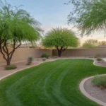 A well-maintained Gilbert yard with pruned trees and neat garden beds in spring.