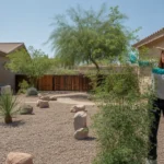 Checklist for pest control in a Gilbert yard, including inspection, moisture control, and targeted treatments.