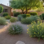 Low-maintenance summer shrubs like Texas sage and yellow bells thrive in a Chandler yard with minimal care