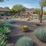 A Mesa yard landscaped with fire-resistant plants in cool, silvery tones