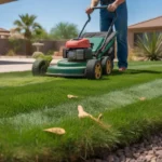 Mowing Bermuda grass to the ideal height in a Gilbert yard during July