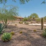 Gravel mulch protecting plants in a Chandler yard during extreme heat