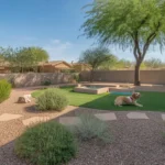 A dog playing in a pet-safe backyard with paw-friendly surfaces and non-toxic plants.