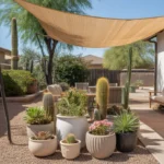 Potted plants in light-colored containers with shade cloth in Gilbert summer heat