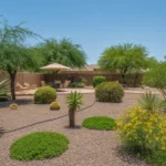Drought-tolerant Queen Creek yard with drip irrigation under watering restrictions