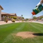 A lush green lawn in Gilbert, Arizona being fertilized in the spring.