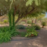 Shade garden with lush foliage and dappled sunlight in Chandler, Arizona