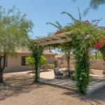 A shaded patio in the Southeast Valley with a pergola, climbing vines, and shade trees