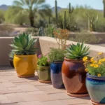 A colorful spring container garden on a patio in Chandler, Arizona