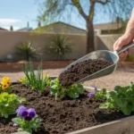 Gardener's hands holding scoop of organic fertilizer over garden bed