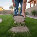 Applying fertilizer to a lush green lawn in spring in Gilbert, Arizona
