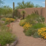 A colorful spring garden in the Southeast Valley with blooming desert plants and a stone pathway.