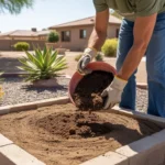 A Chandler gardener amending desert soil in a raised garden bed in spring.