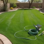 A lush green lawn in a Chandler backyard in spring, with gardening tools and supplies nearby