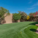 A lush green lawn in a Mesa backyard during springtime