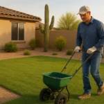 A weed-free, green yard in the Southeast Valley