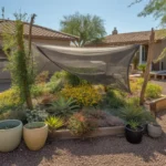 Shade cloth protecting plants from summer sun in a Chandler garden